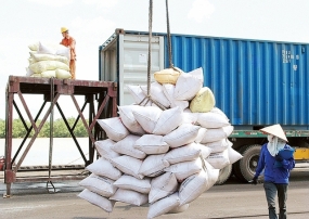 Thị trường gạo Việt Nam có tiếp tục khởi sắc những tháng cuối năm?