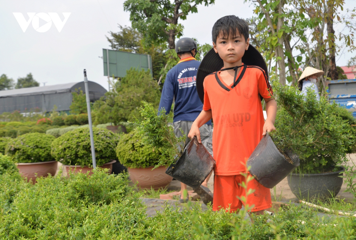 lang hoa lon nhat mien tay va hanh trinh giu gin net truyen thong hinh anh 1