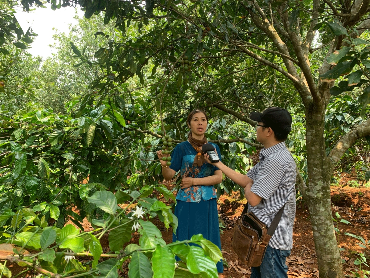 nong thon moi Dak nong vung kinh te, giau ban sac, dam nghia tinh hinh anh 2