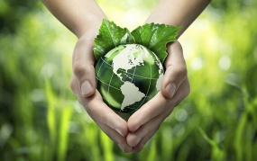 Tiêu chuẩn xanh - “chìa khóa” tiếp cận dễ dàng với thị trường quốc tế