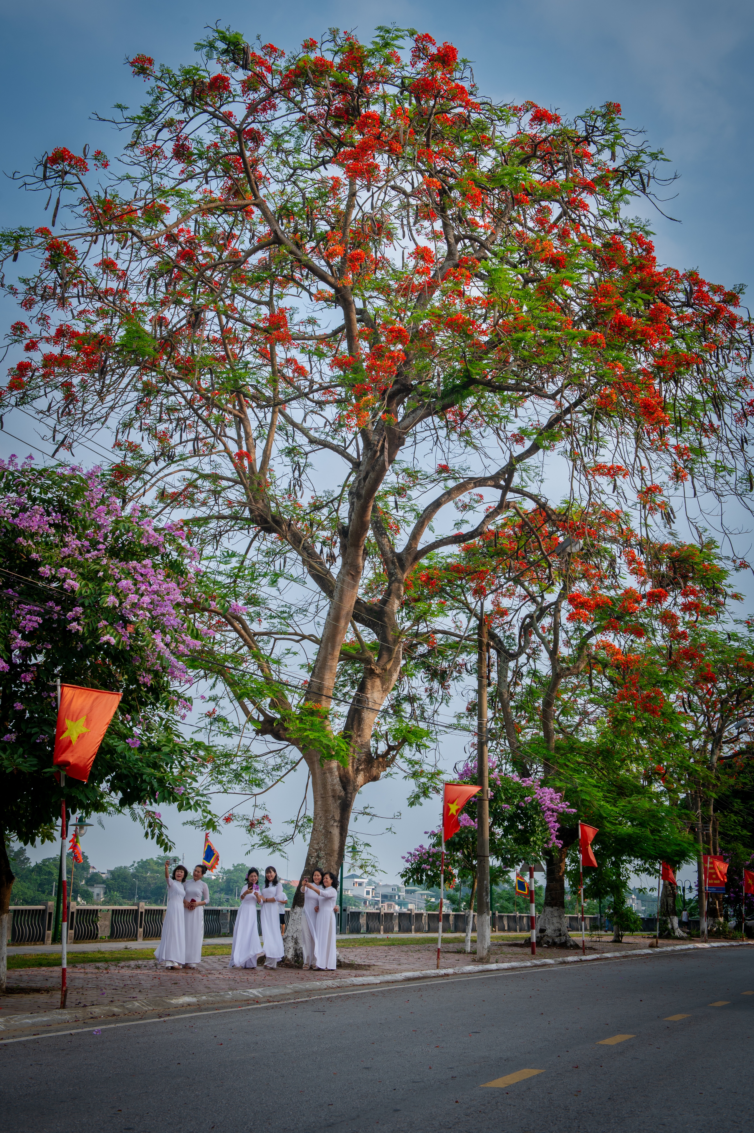 Nồng nàn sắc hoa mùa hạ - Ảnh 7.