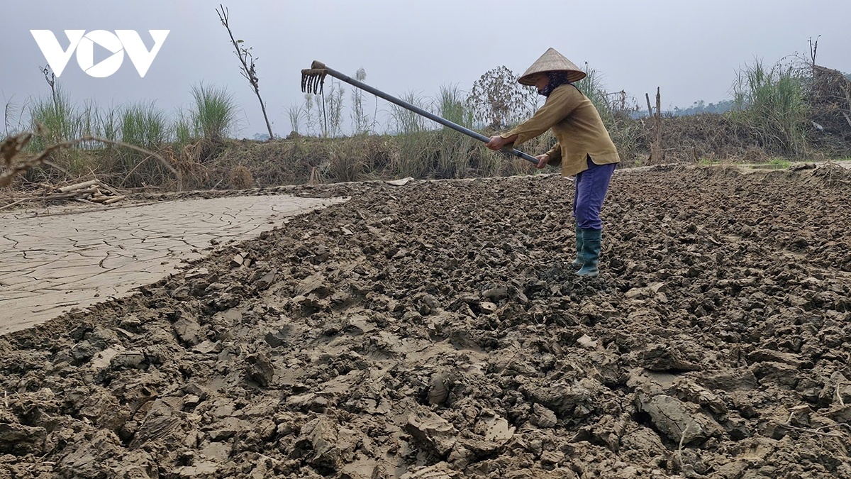 Gian nan khôi phục vựa rau sau lũ ở Yên Bái