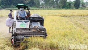 Giữ vững tăng trưởng nông nghiệp