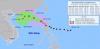 Bão số 8 mạnh cấp 10 ảnh hưởng vùng biển các tỉnh miền Trung