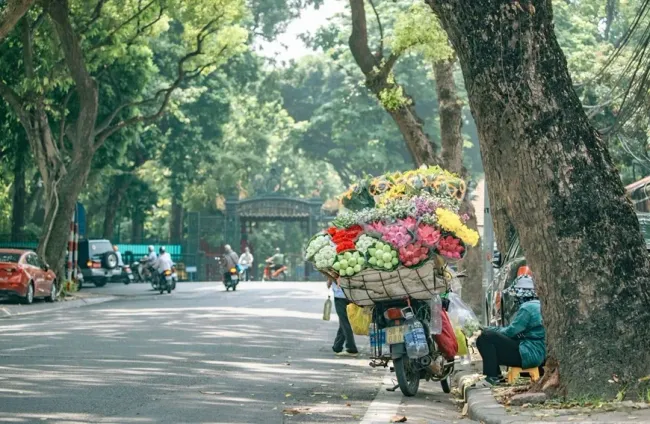 Thời tiết ngày 22/11: Bắc Bộ và Thủ đô Hà Nội nắng hanh, miền Trung mưa lớn