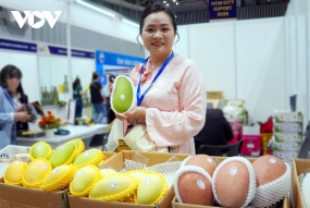 Doanh nghiệp nâng cao năng lực cạnh tranh, ứng phó với thuế đối ứng 46% của Mỹ