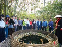 Hà Nội - Thái Nguyên: Phát triển tuyến du lịch xanh