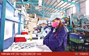 Triển vọng tích cực của kinh tế Việt Nam