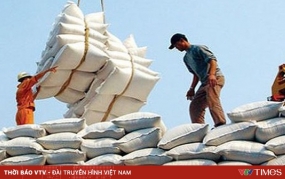 Việt Nam thu gần 1,4 tỷ USD từ xuất khẩu gạo