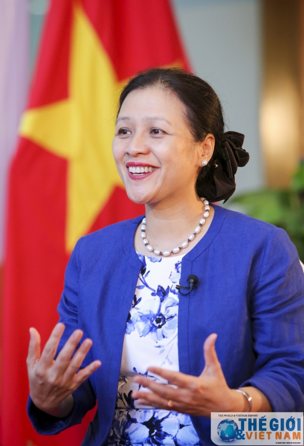Bà Nguyễn Phương Nga, Chủ tịch Liên hiệp các tổ chức hữu nghị Việt Nam