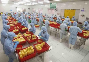 (PLO)- Đưa nông sản Việt vào thị trường Mỹ thông qua hệ thống phân phối lớn là mục tiêu trong thời gian tới.