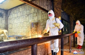 Triều Tiên ghi nhận thêm gần 220.000 ca sốt và một người tử vong