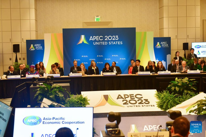 Việt Nam đề xuất ưu tiên thảo luận nhằm nâng cao hiệu quả hoạt động của APEC  ảnh 1
