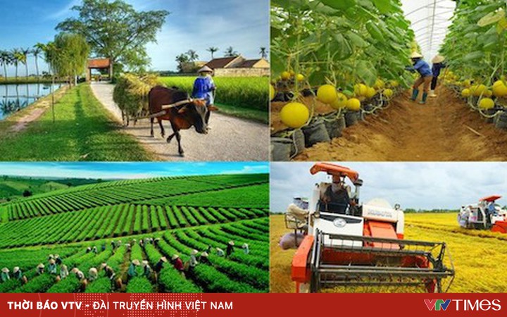 Thúc đẩy "tri thức hóa nông dân"