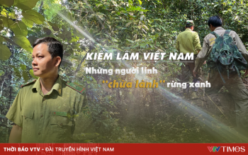 Kiểm lâm Việt Nam: Những người lính thầm lặng “chữa lành” rừng xanh