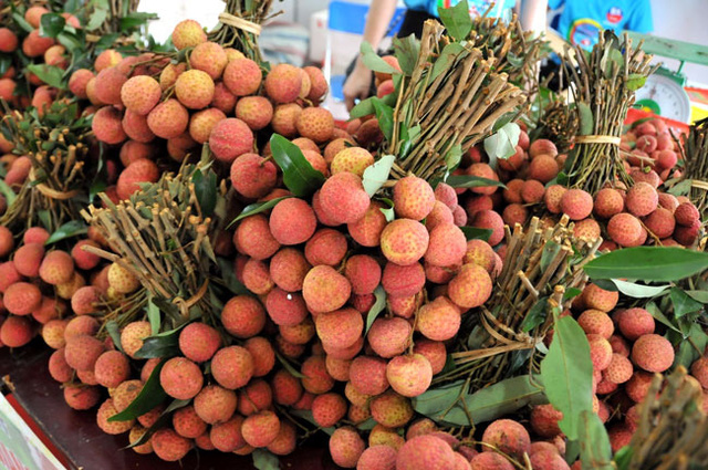 Mở cửa thị trường cho nông sản Việt: Phải đi cùng chất lượng - Ảnh 1.