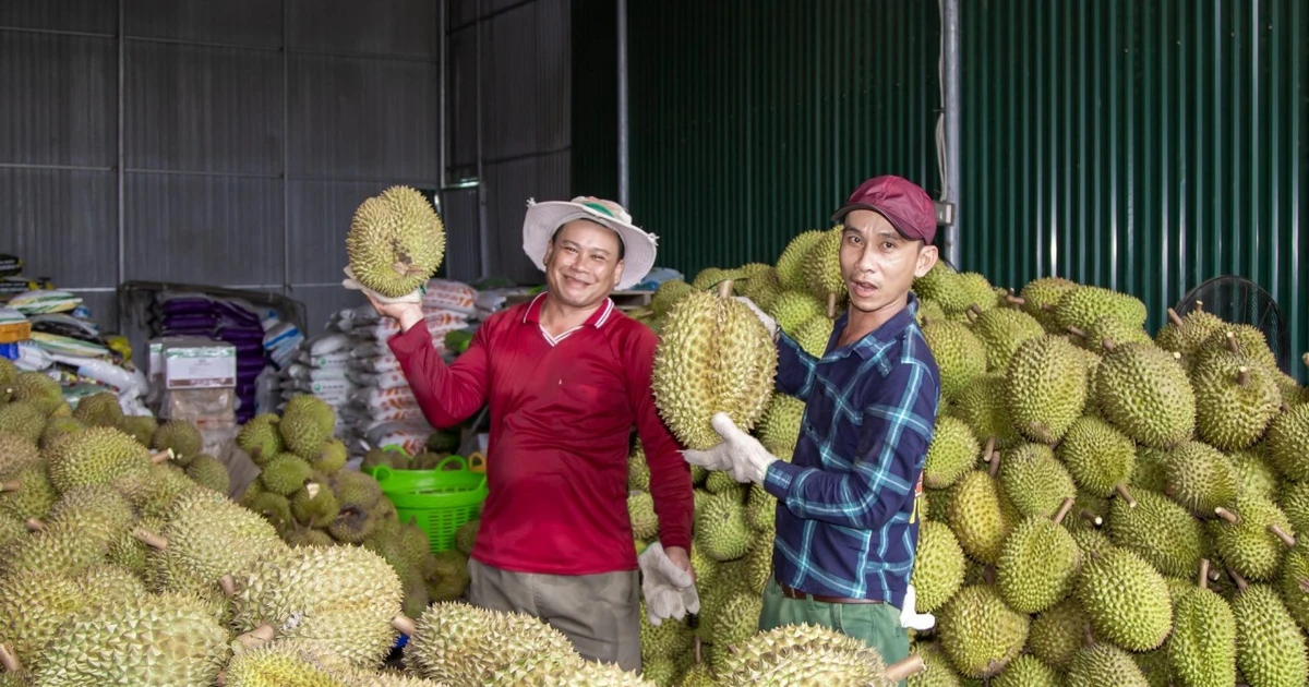 “Cánh cửa” ra nước ngoài rộng mở, xuất khẩu rau quả sẽ lập kỷ lục mới