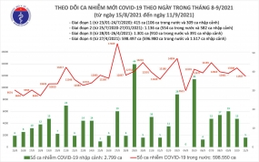 Ngày 11/9: Có 11.932 ca mắc COVID-19, ít hơn hôm qua gần 1.400 ca