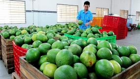 Tạo cầu nối cho sản phẩm Việt tiếp cận thị trường Nam Mỹ