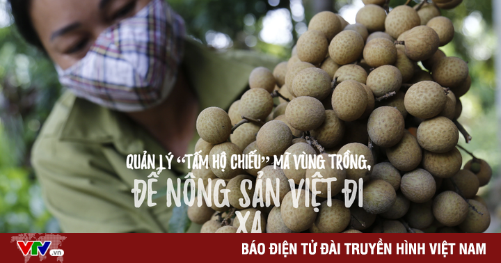 Quản lý  “tấm hộ chiếu” mã vùng trồng, để nông sản Việt đi xa