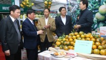 Nhiều hoạt động xúc tiến thương mại sản phẩm đặc sản vùng miền Việt Nam