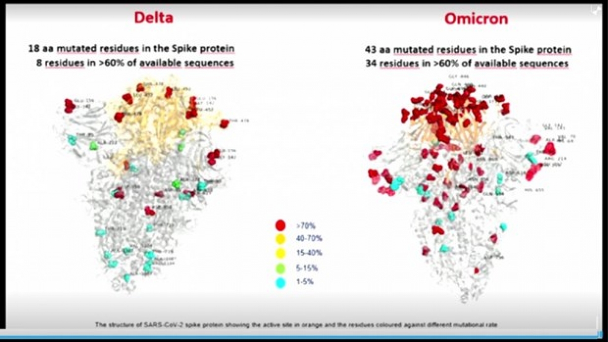 Hình ảnh so sánh hai "siêu" biến thể Omicron và Delta.(Ảnh: Reuters)