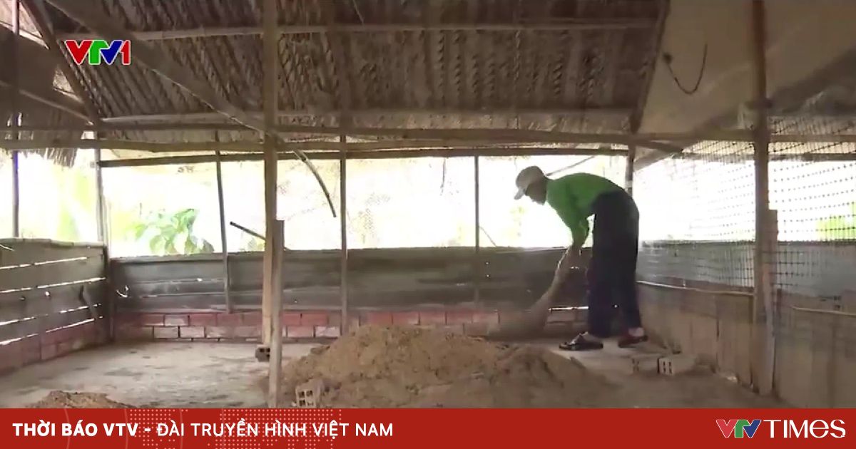 Kiểm soát chất thải chăn nuôi: Hướng đi bền vững cho nông nghiệp