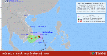 Bão số 10 giật cấp 10, Trung Bộ và Tây Nguyên có nơi mưa to