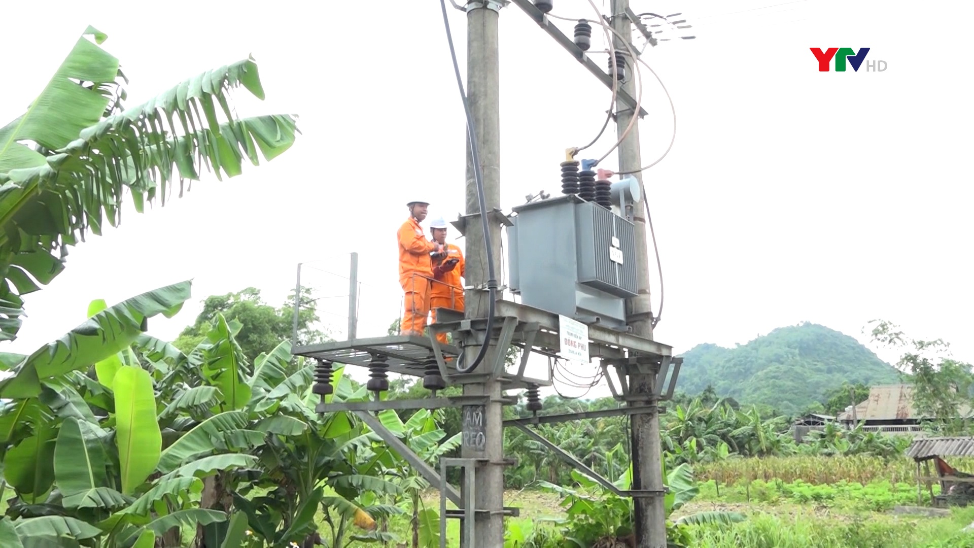 Điện lực Lục Yên: Sẵn sàng các phương án cung ứng điện mùa mưa bão