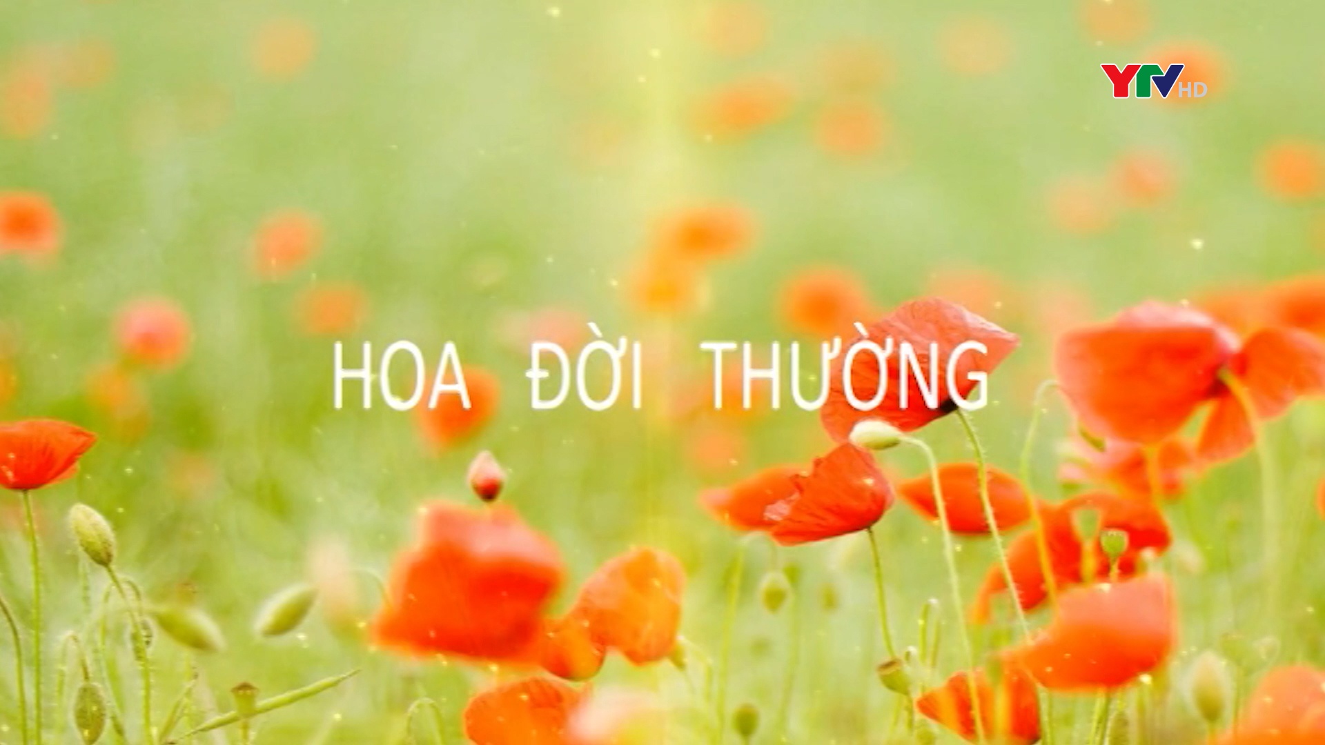 Người “thu” hoa làm mật ngọt ở đất Mậu Đông