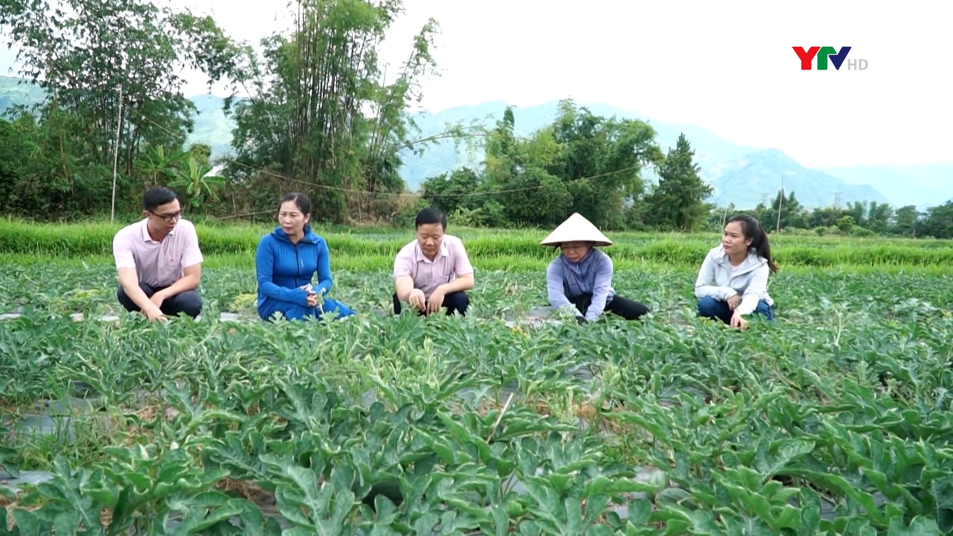 Thị xã Nghĩa Lộ: Vốn tín dụng chính sách mang lại cơ hội thoát nghèo cho nhiều gia đình