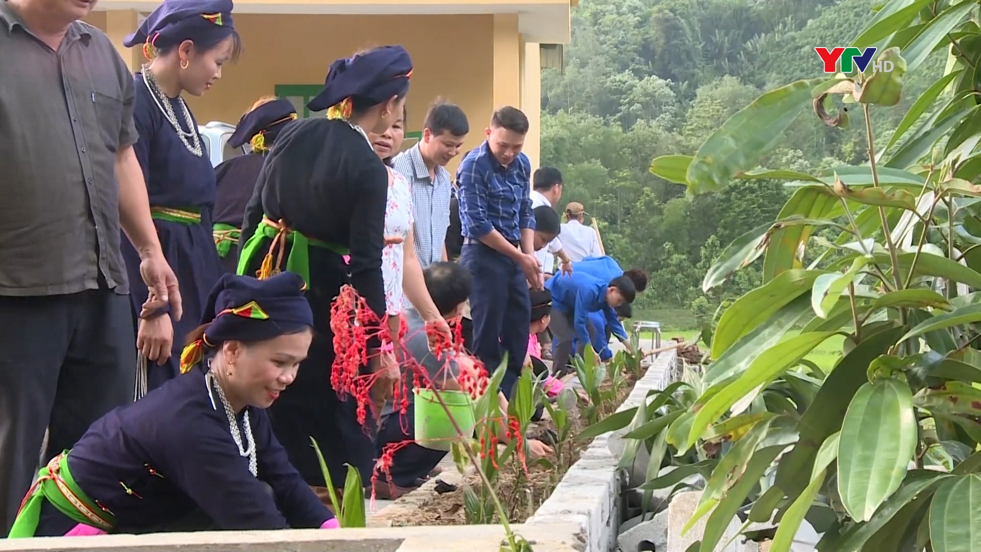 Lục Yên phát động phong trào “Làm hàng rào xanh” tại nhà văn hoá thôn