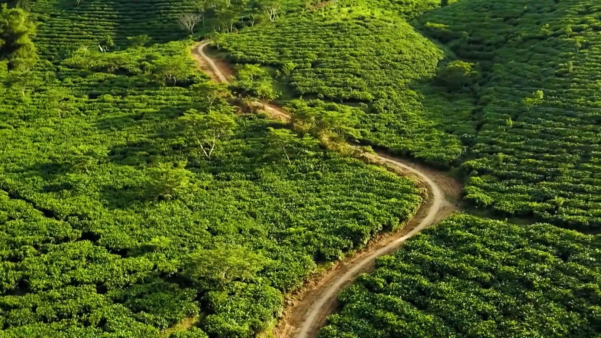 Văn Chấn đẩy mạnh thực hiện Nghị quyết Đại hội Đảng bộ huyện lần thứ XXI