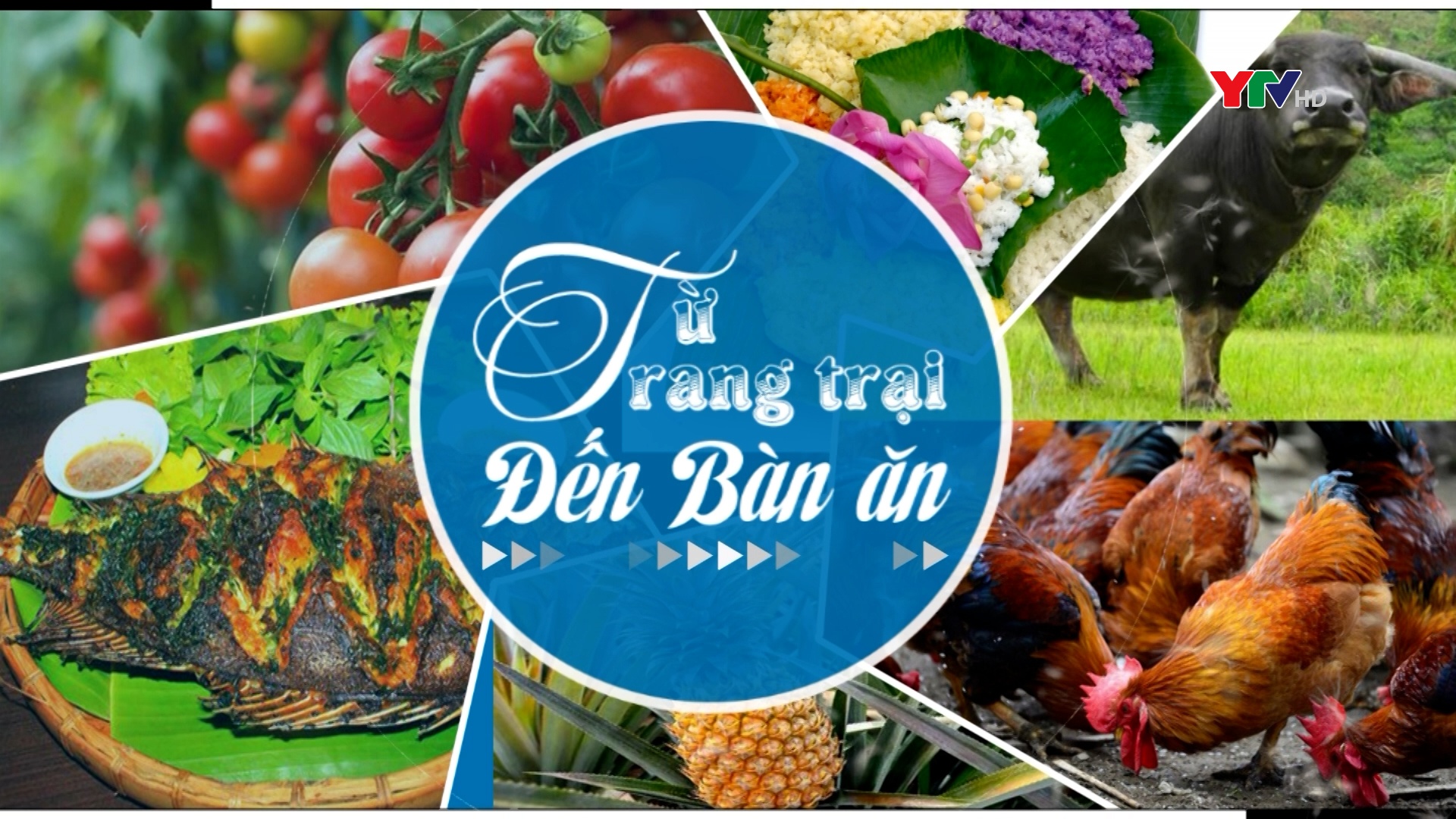 Đặc sản cá bỗng Lục Yên