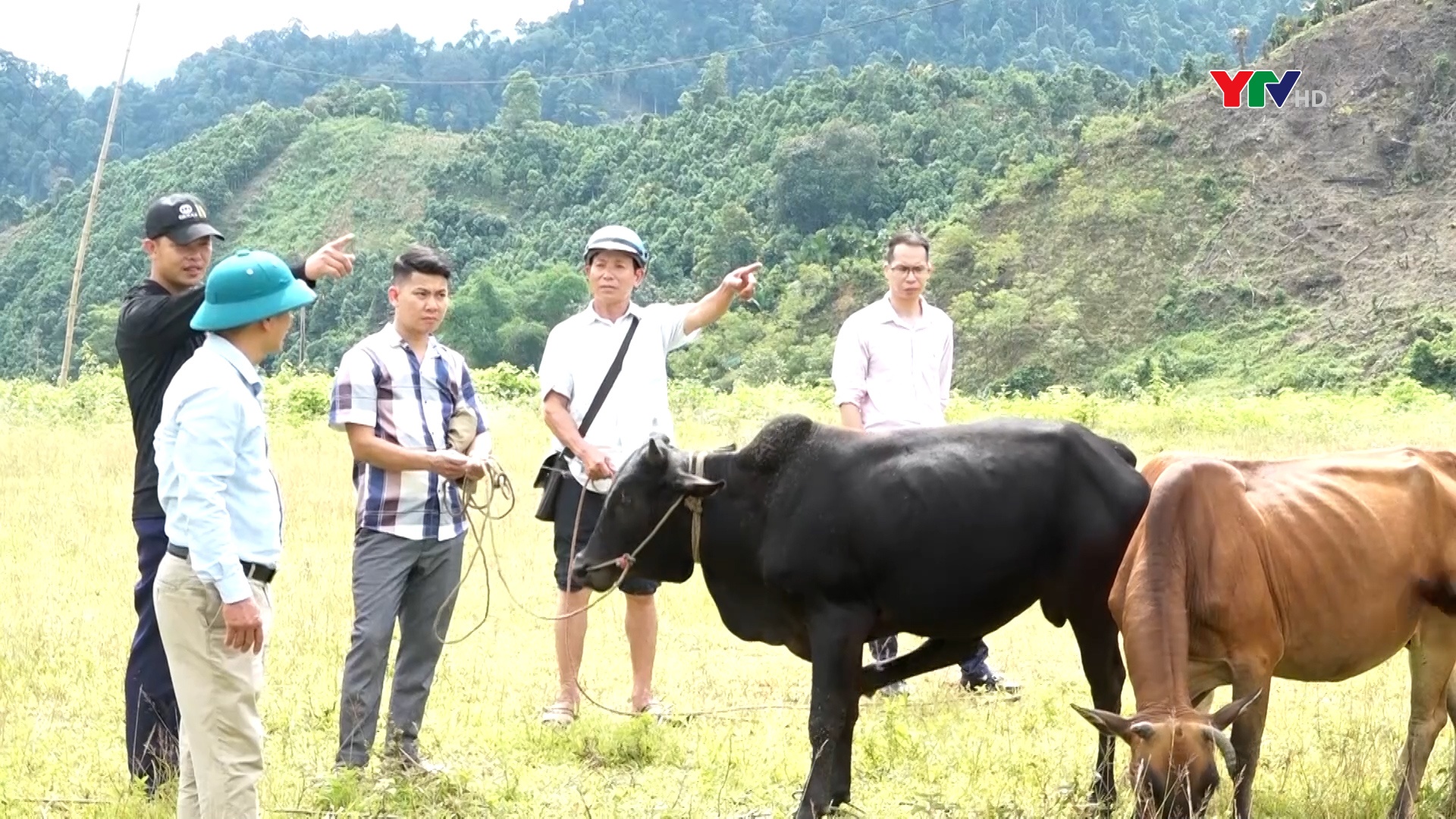 Nông dân Văn Yên xây dựng nhiều mô hình kinh tế hiệu quả