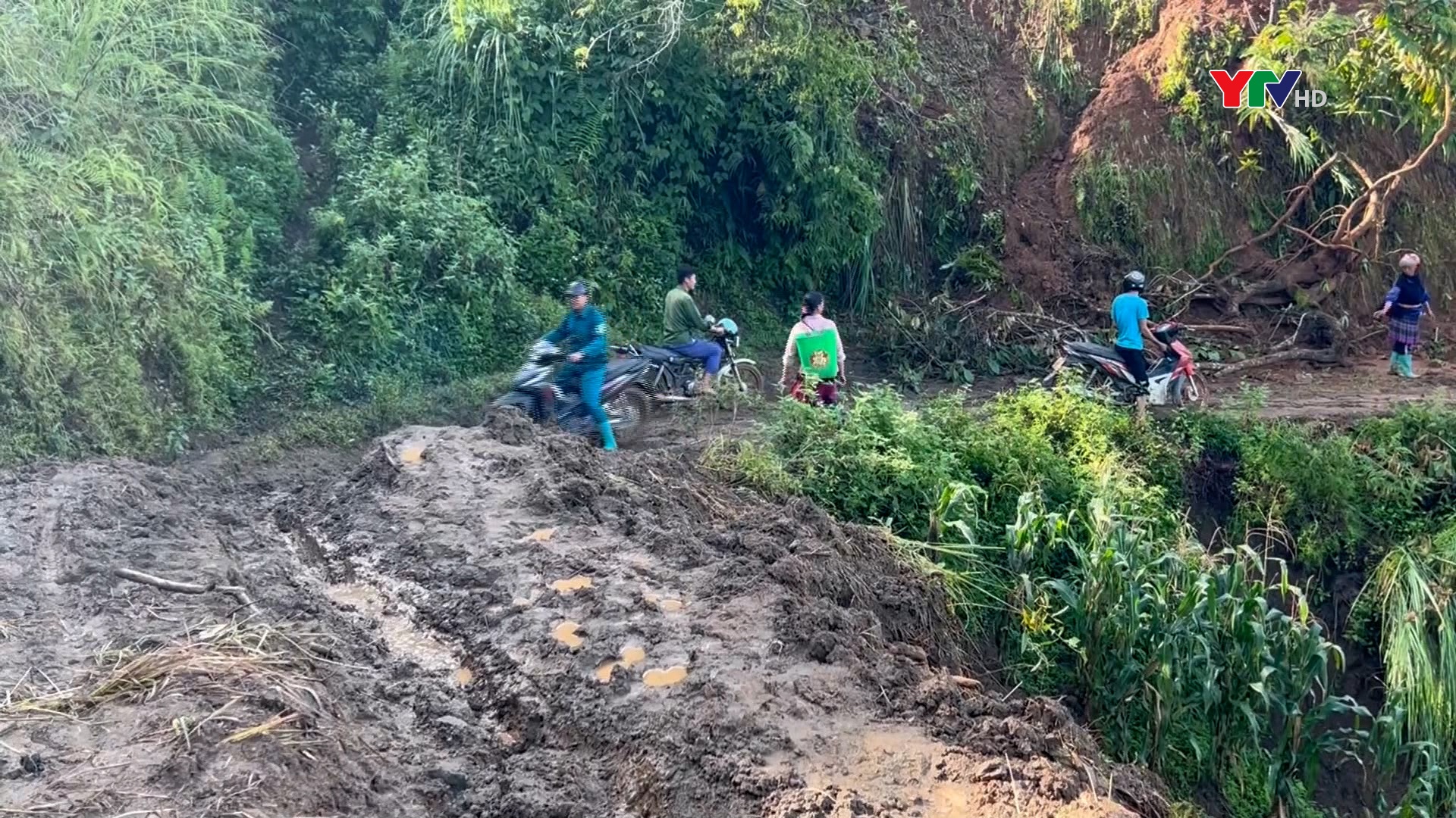 Mù Cang Chải: 127 km đường giao thông nông thôn bị sạt lở do mưa lũ