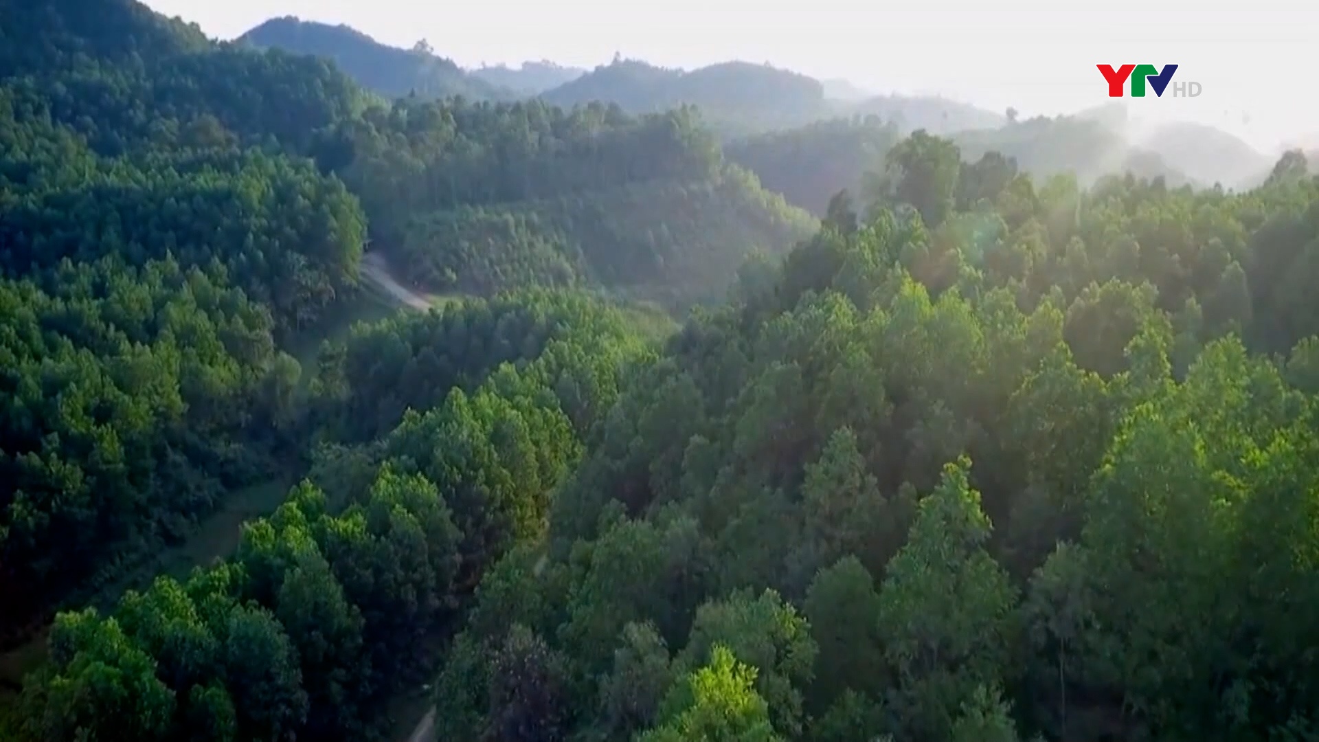 Văn Yên: Trồng rừng vượt kế hoạch năm