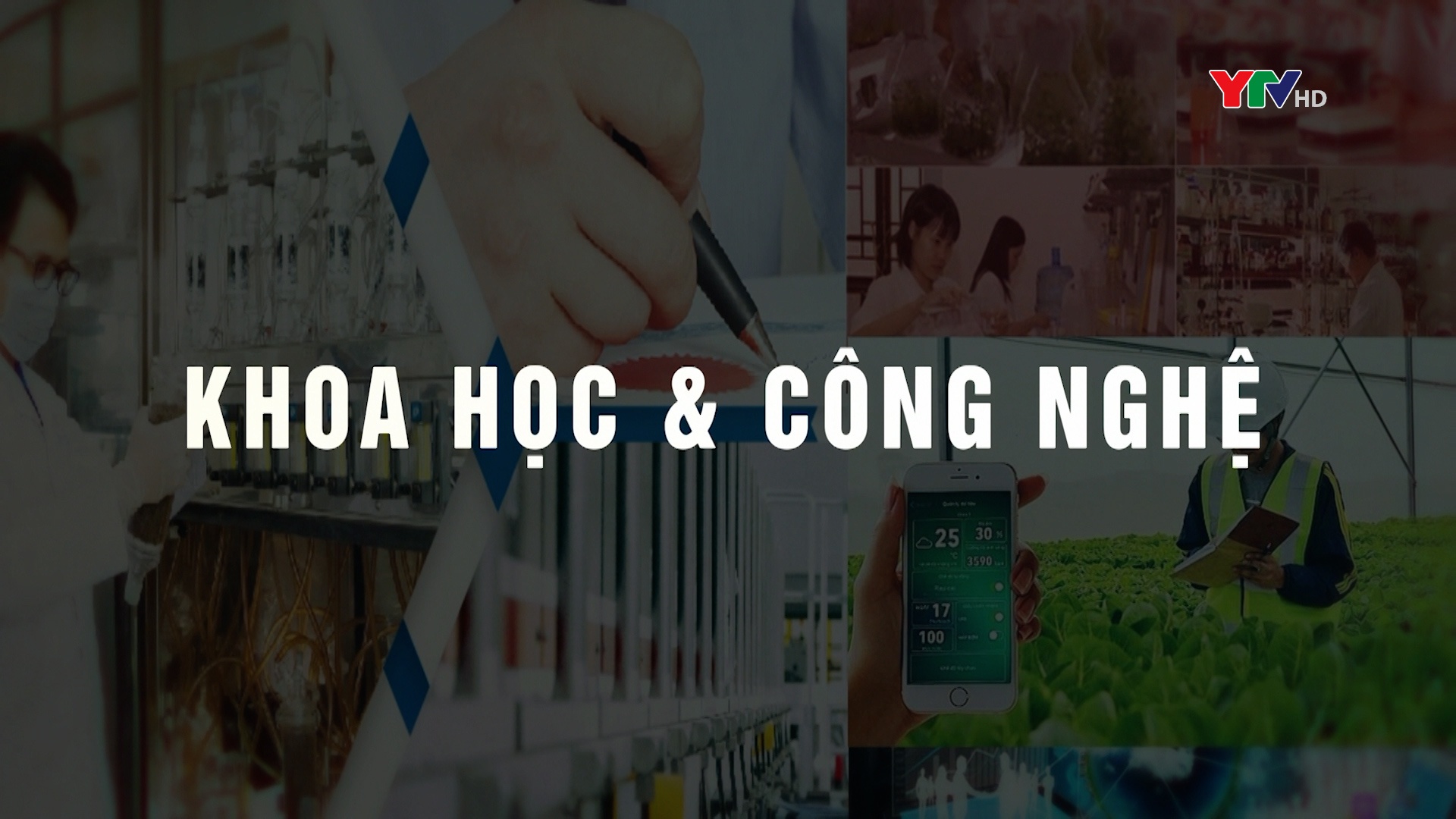 Nông hộ Yên Bái tích cực ứng dụng KHKT trong sản xuất dâu tằm