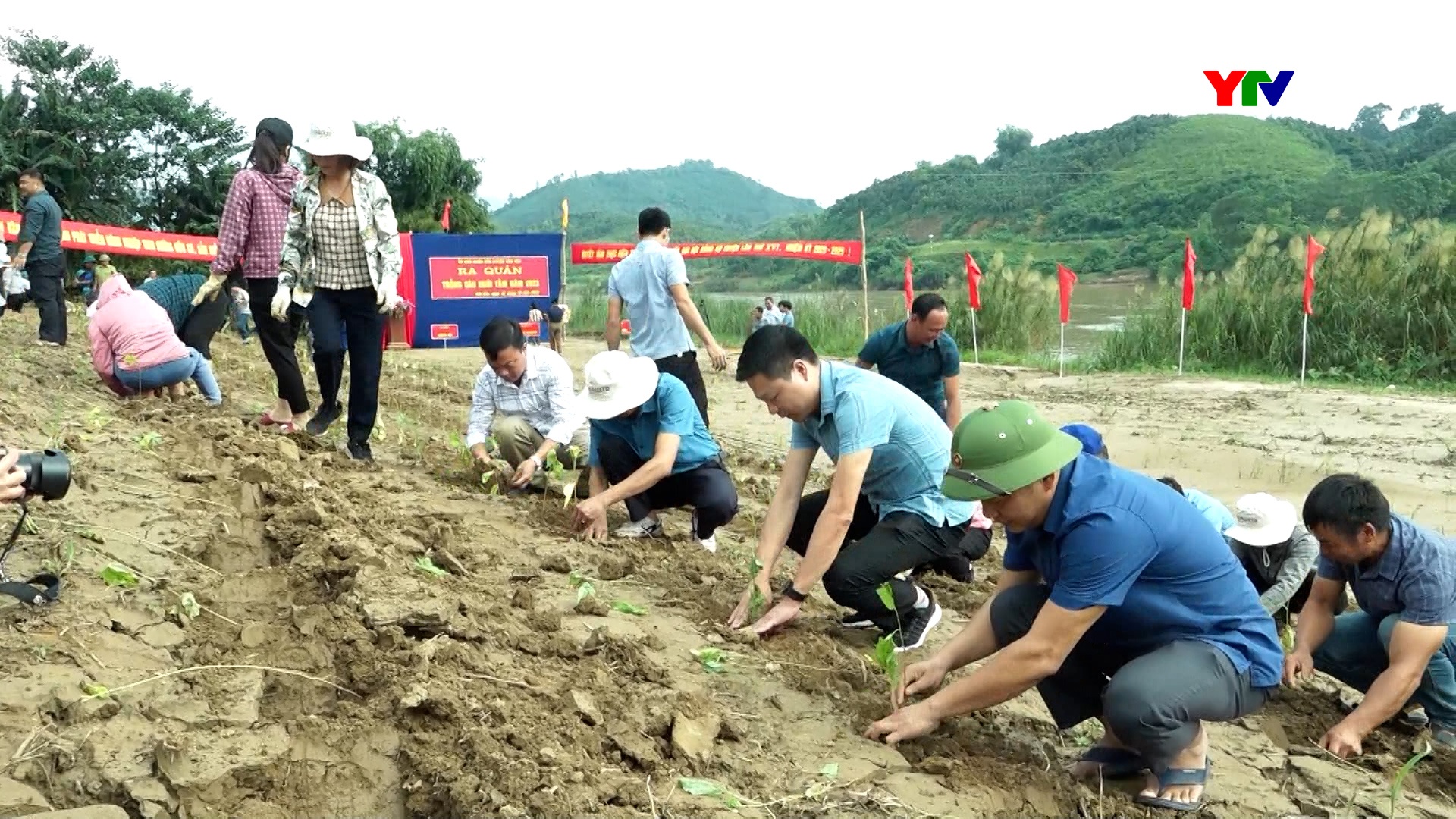 Văn Yên ra quân trồng dâu nuôi tằm