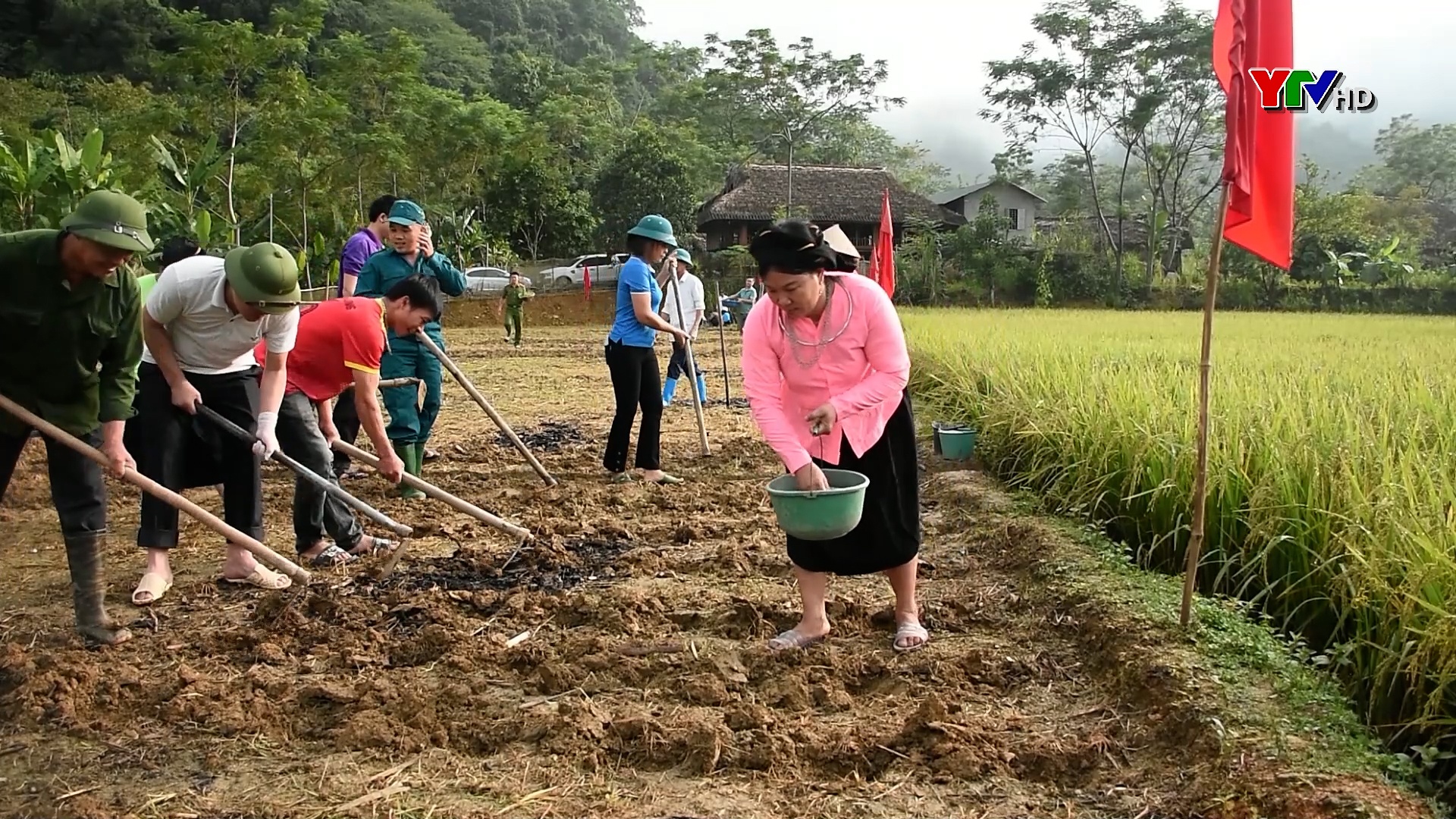 Nông dân Lục Yên tập trung gieo trồng cây vụ đông