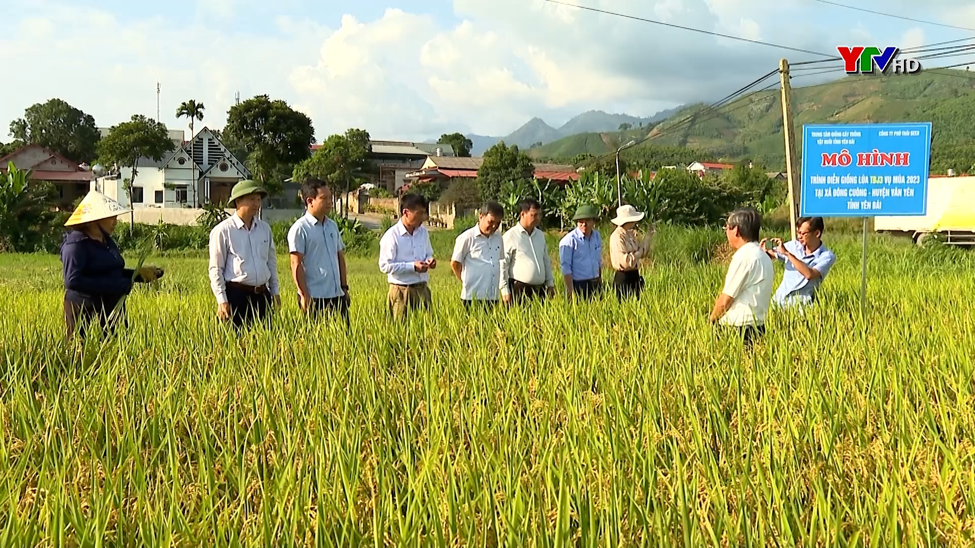 Tổng kết mô hình trình diễn sản xuất trồng lúa giống TBJ3 tại xã Đông Cuông, huyện Văn Yên