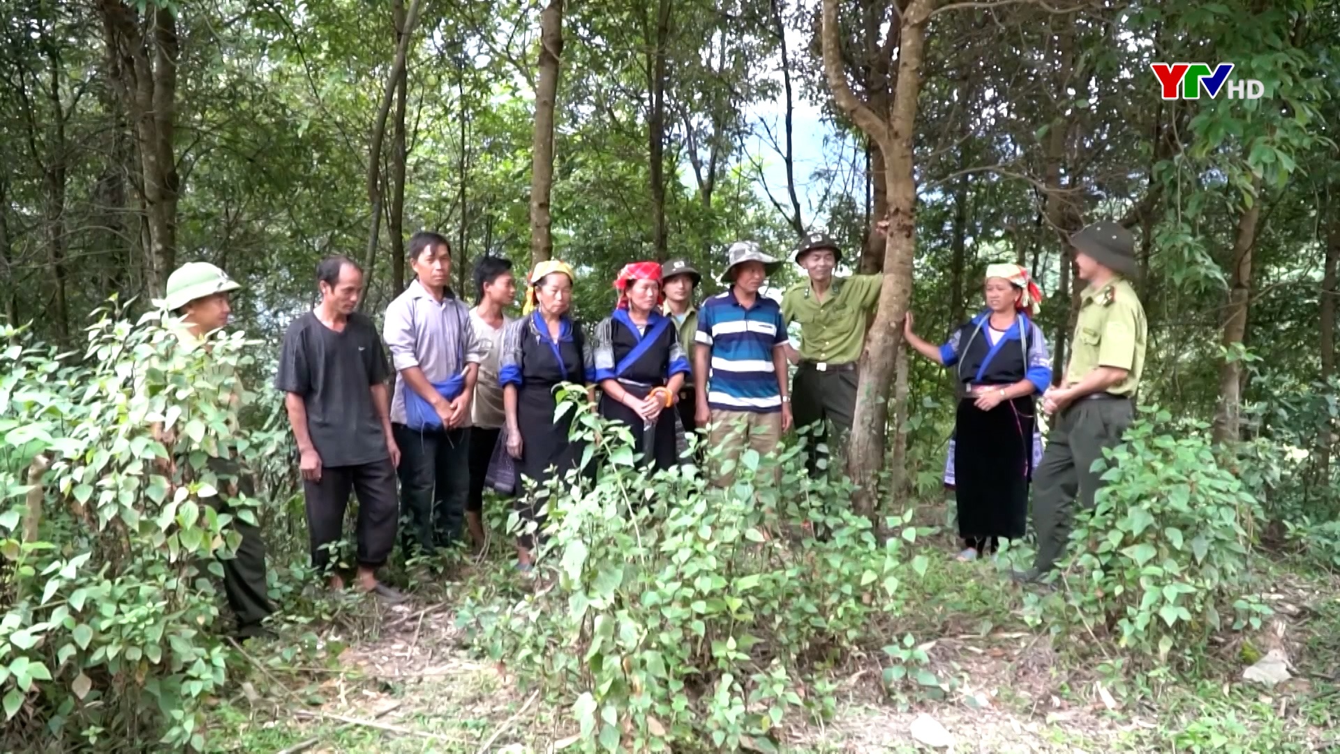 Huyện Mù Cang Chải  chủ động phòng chống cháy rừng trong mùa khô