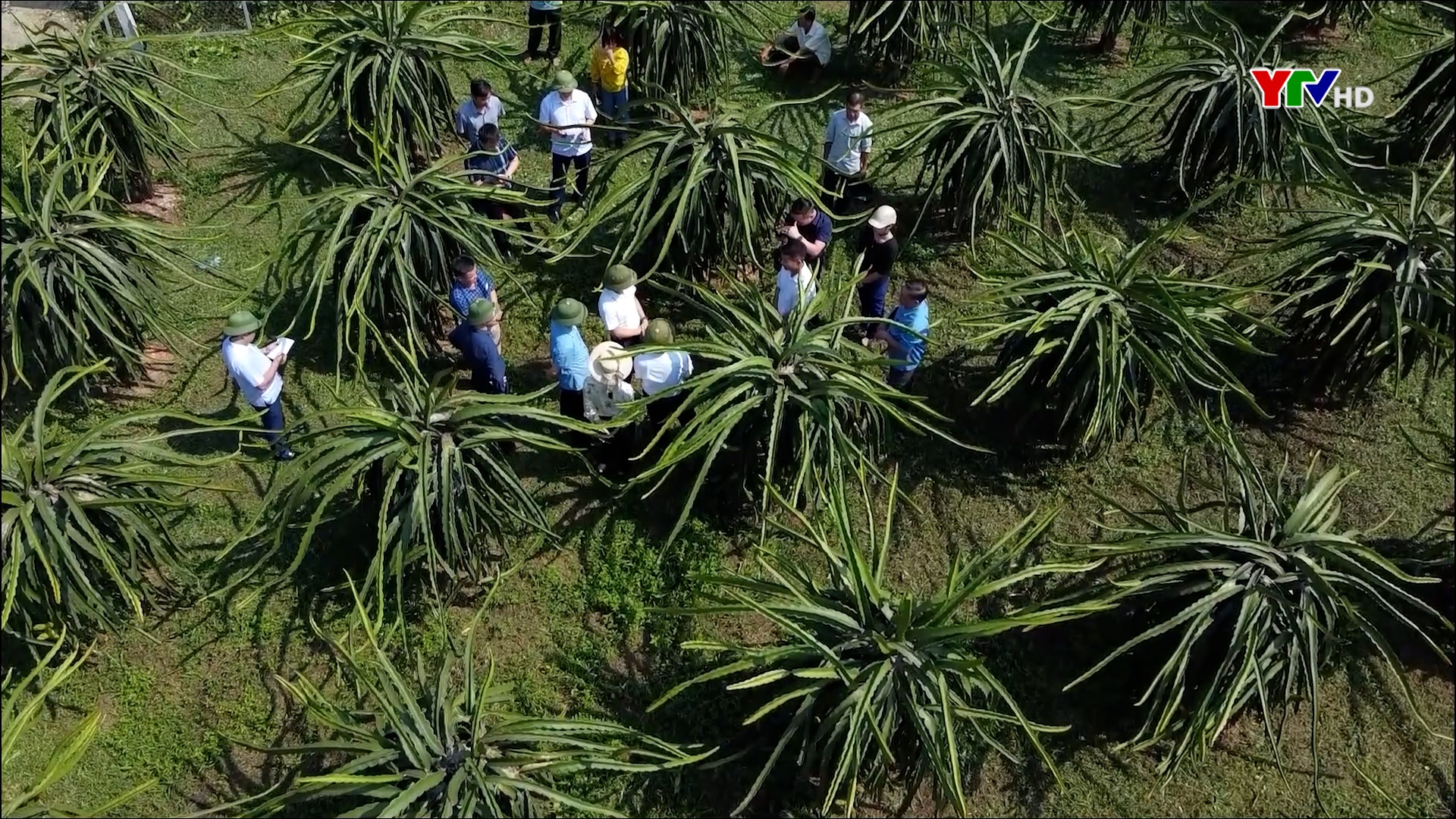 Yên Bình: 185 hộ viết đơn xin ra khỏi hộ nghèo