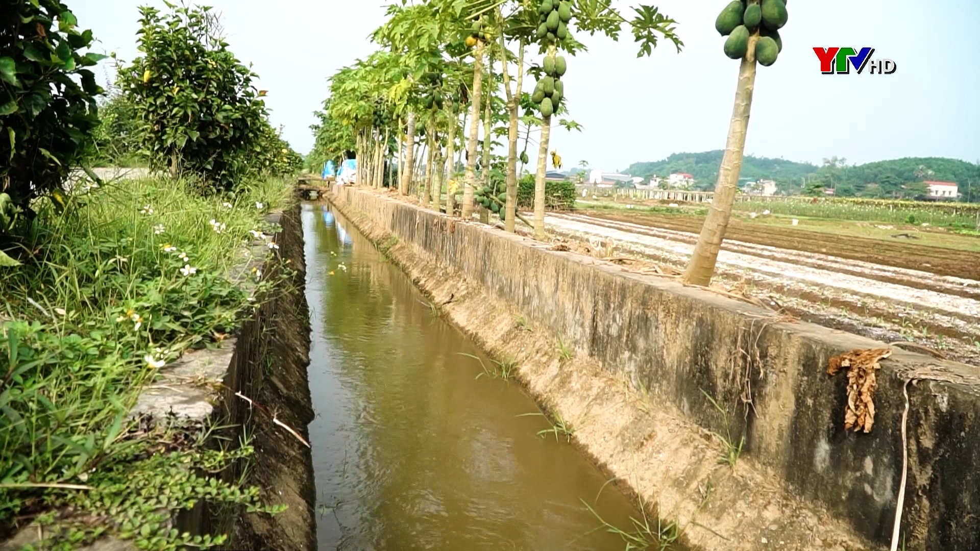 Công ty TNHH Tân Phú tích cực phục vụ nhân dân sản xuất vụ Xuân