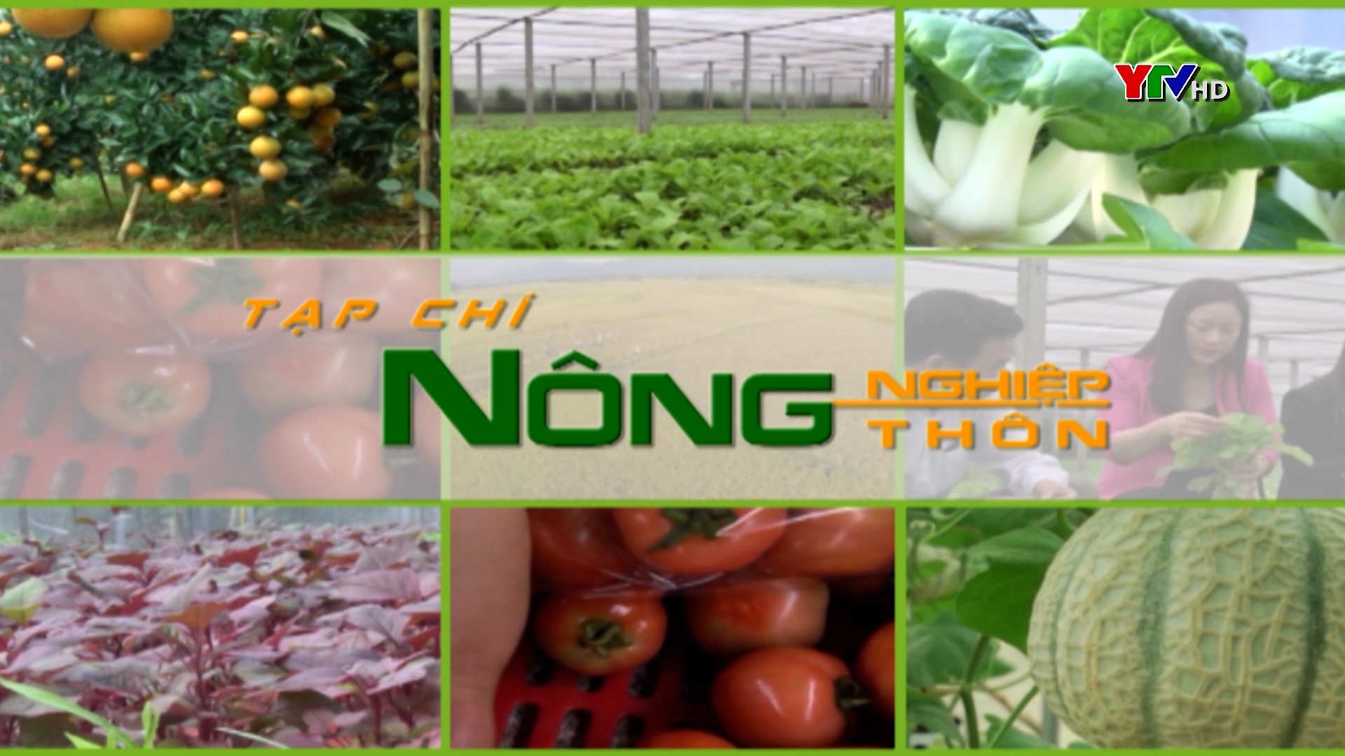 Đào tạo nghề phi nông nghiệp cho lao động nông thôn