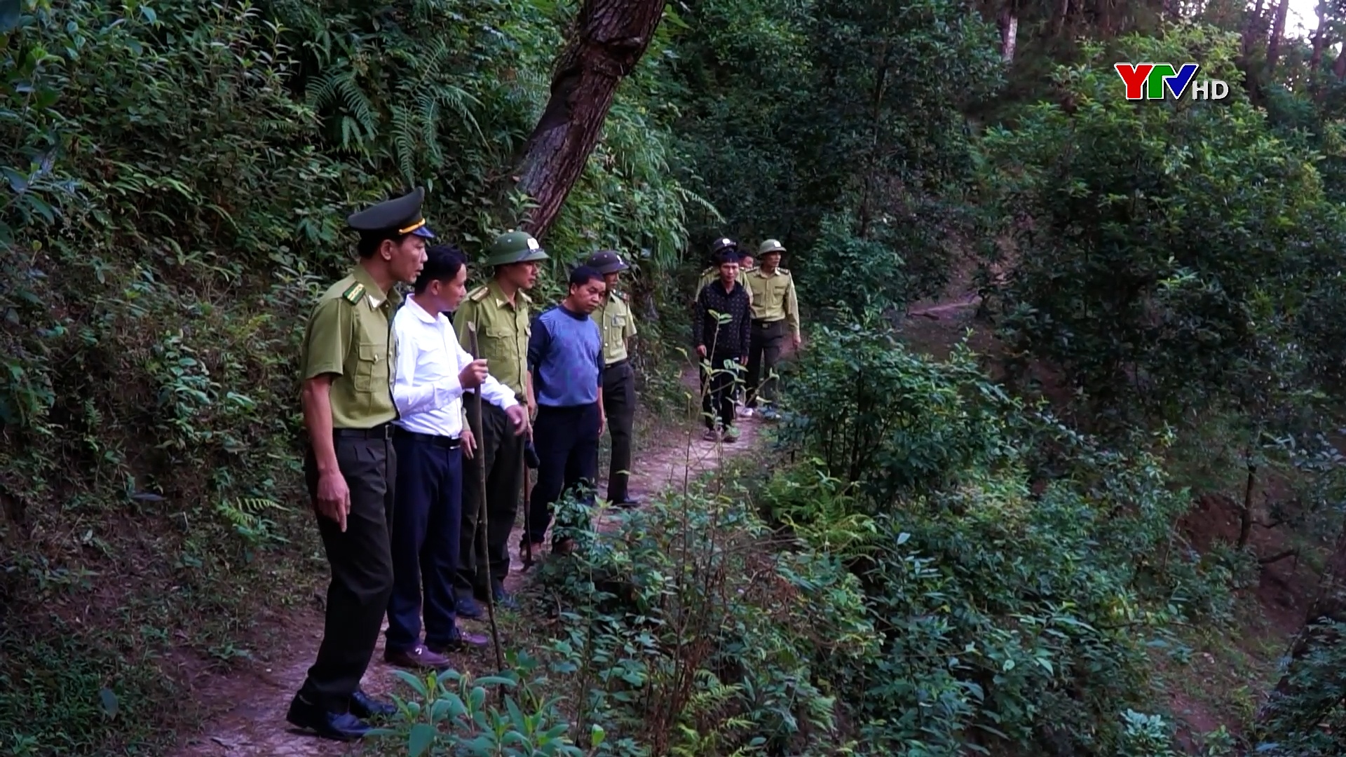 Trạm Tấu tăng cường các biện pháp quản lý  bảo vệ rừng đầu nguồn