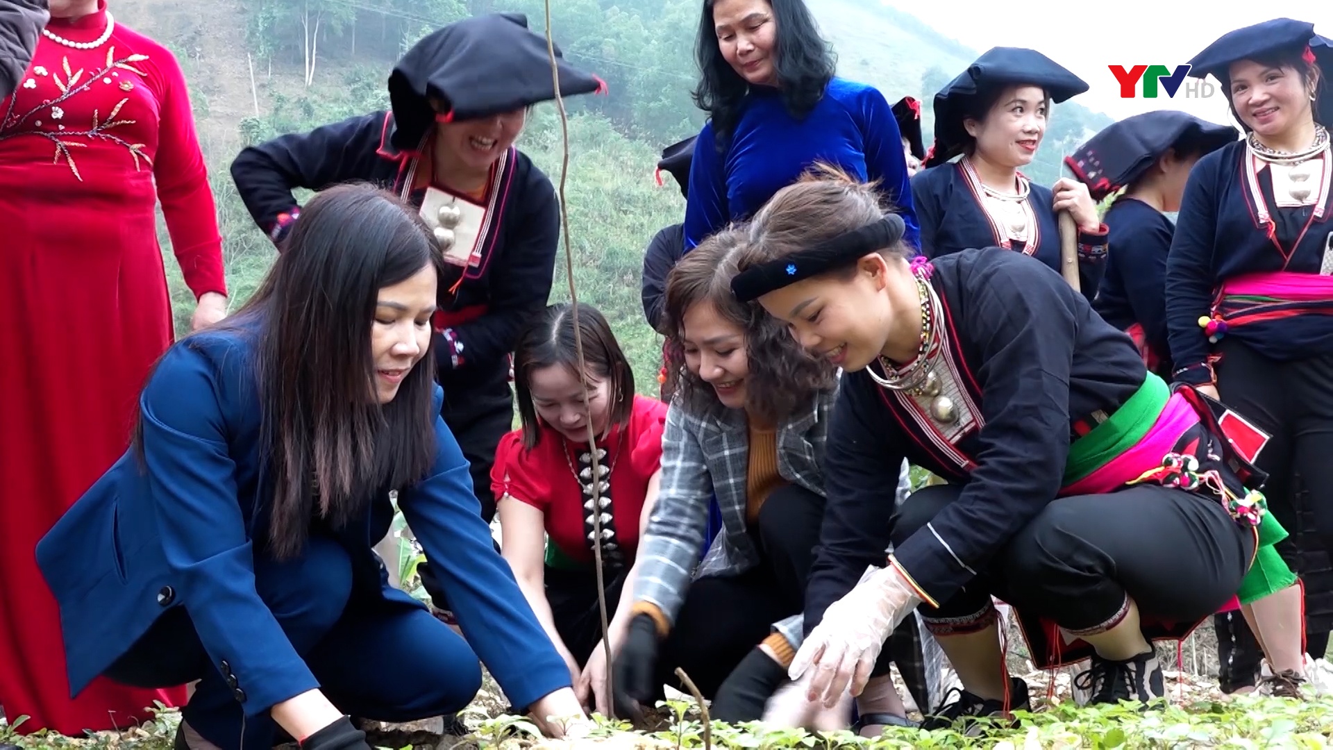 Hội LHPN tỉnh phát động Tết trồng cây tại xã Cát Thịnh, huyện Văn Chấn