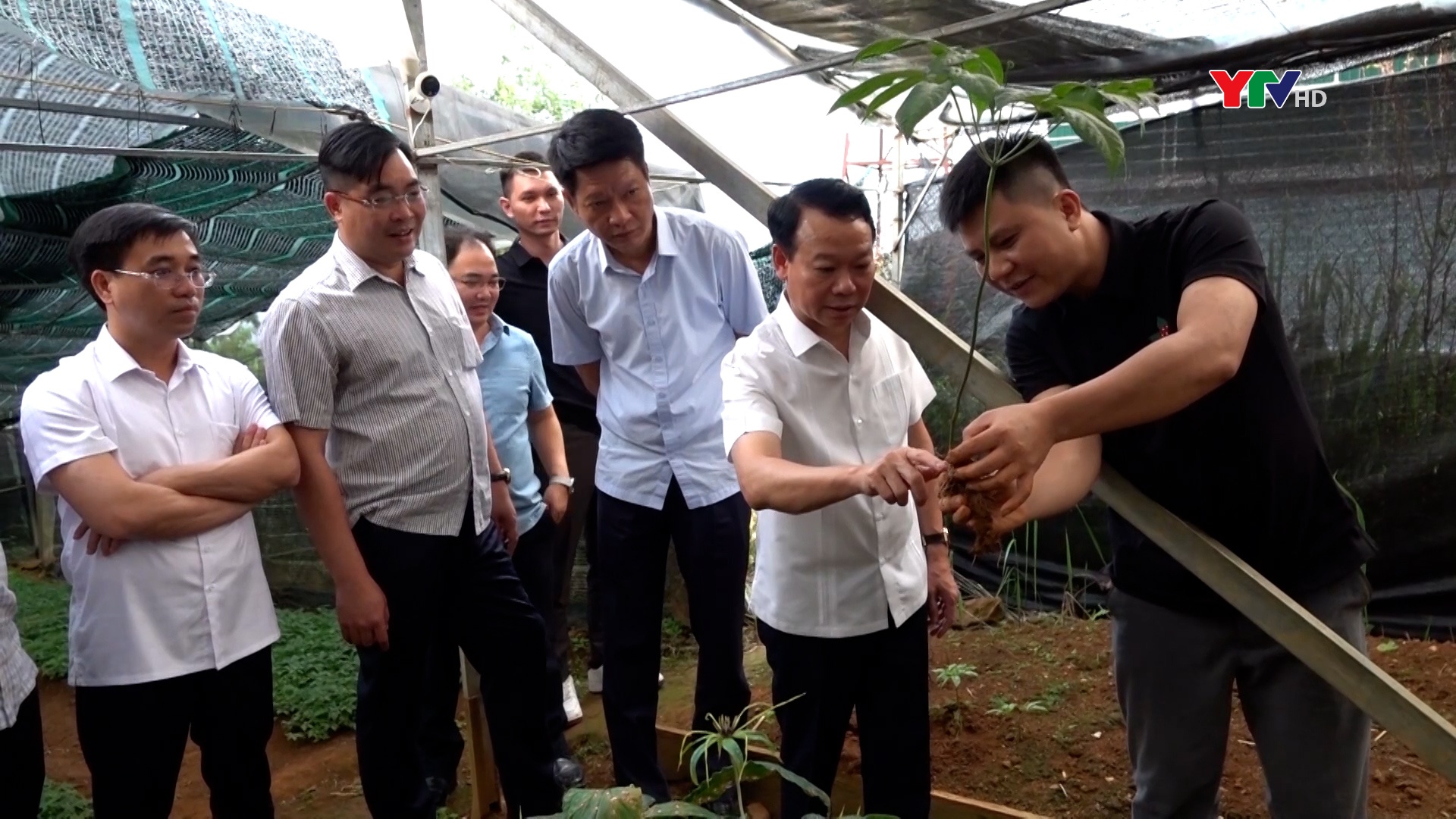 Đồng chí Bí thư Tỉnh ủy Đỗ Đức Duy thăm mô hình trồng cây sâm tại xã Kim Nọi, huyện Mù Cang Chải
