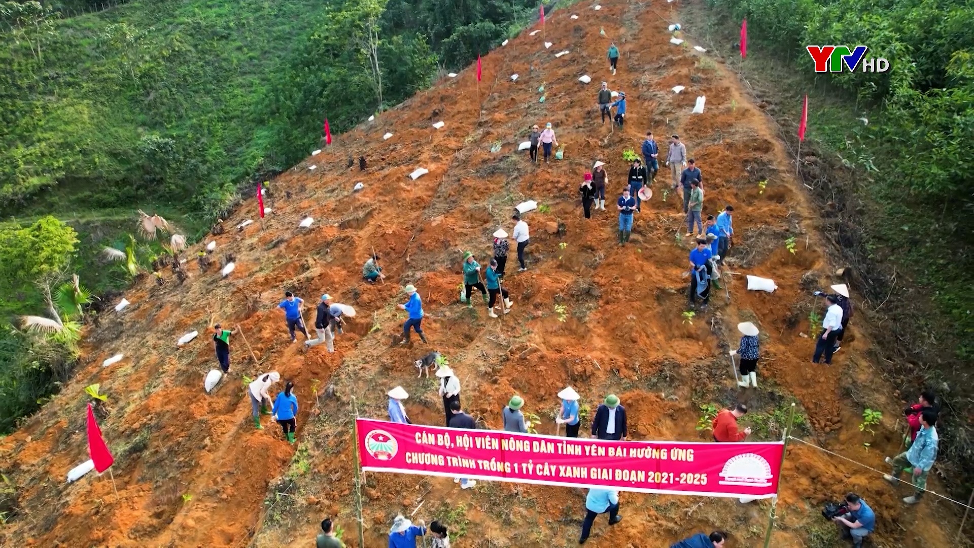 Chương trình Hỗ trợ rừng và trang trại góp phần nâng cao giá trị kinh tế rừng