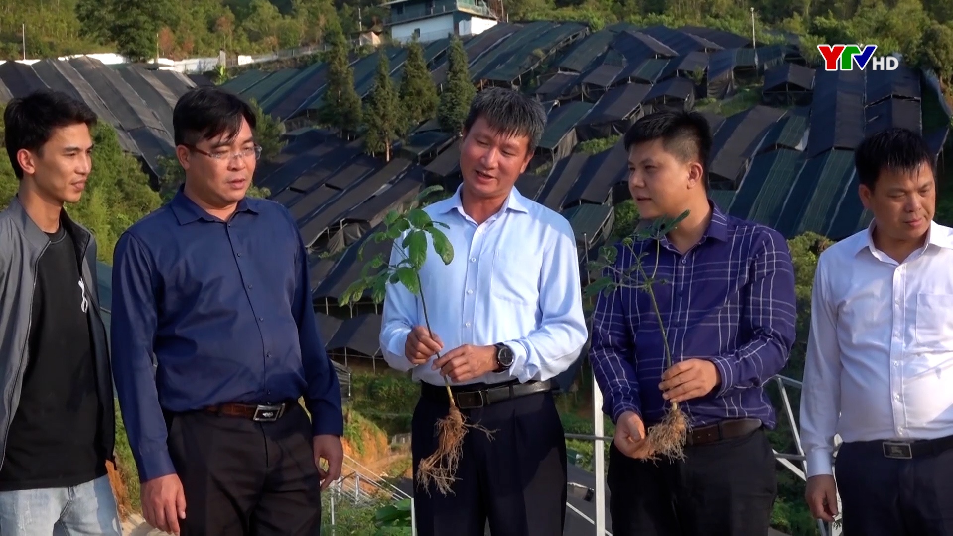 Đồng chí Chủ tịch UBND tỉnh Yên Bái Trần Huy Tuấn thăm mô hình trồng sâm tại huyện Mù Cang Chải